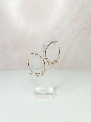 Timeless Hoops