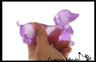 Sugar Dachshund Dog