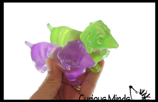 Sugar Dachshund Dog