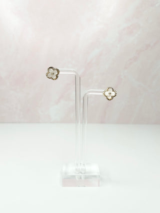 Elegant & Timeless Earrings