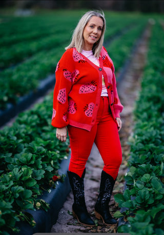 Fiery Red Jeans-Judy Blue