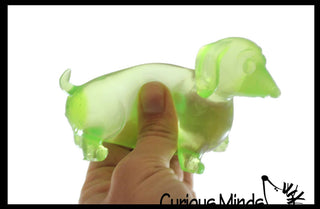 Sugar Dachshund Dog