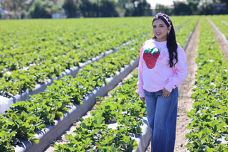 Ava Berry Sweet Sweatshirt