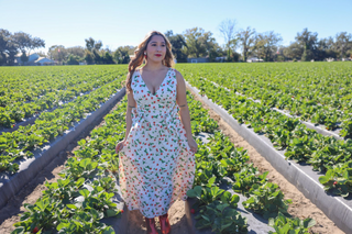 Always Be Sweet Dress